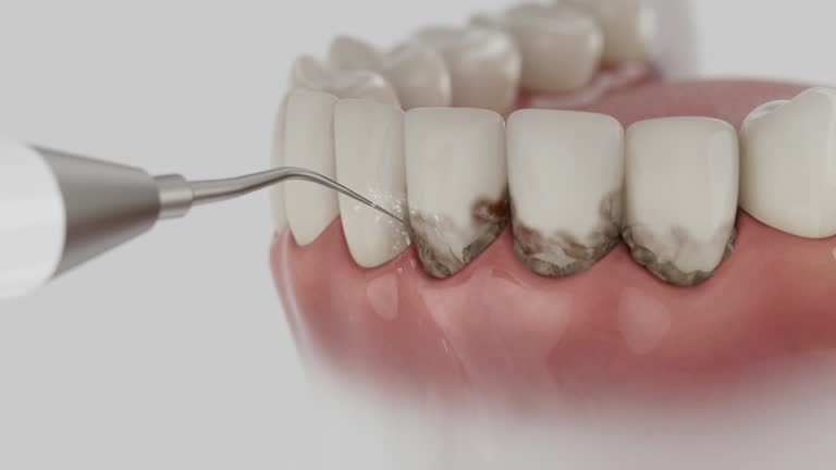 Reliable Dental contractor in Toast, NC by Dentist Open Now